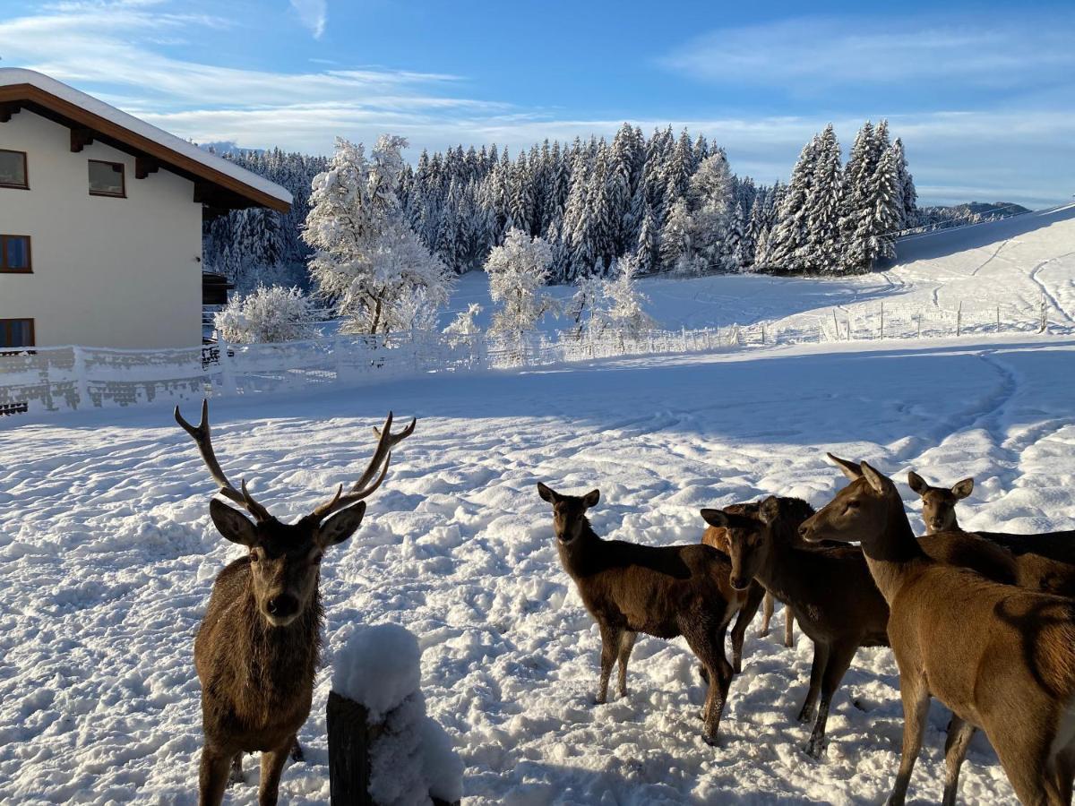Berghof Haselsberger Hotel Sankt Johann in Tirol Exterior foto