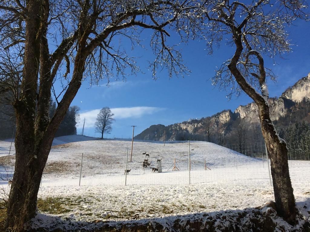 Berghof Haselsberger Hotel Sankt Johann in Tirol Exterior foto