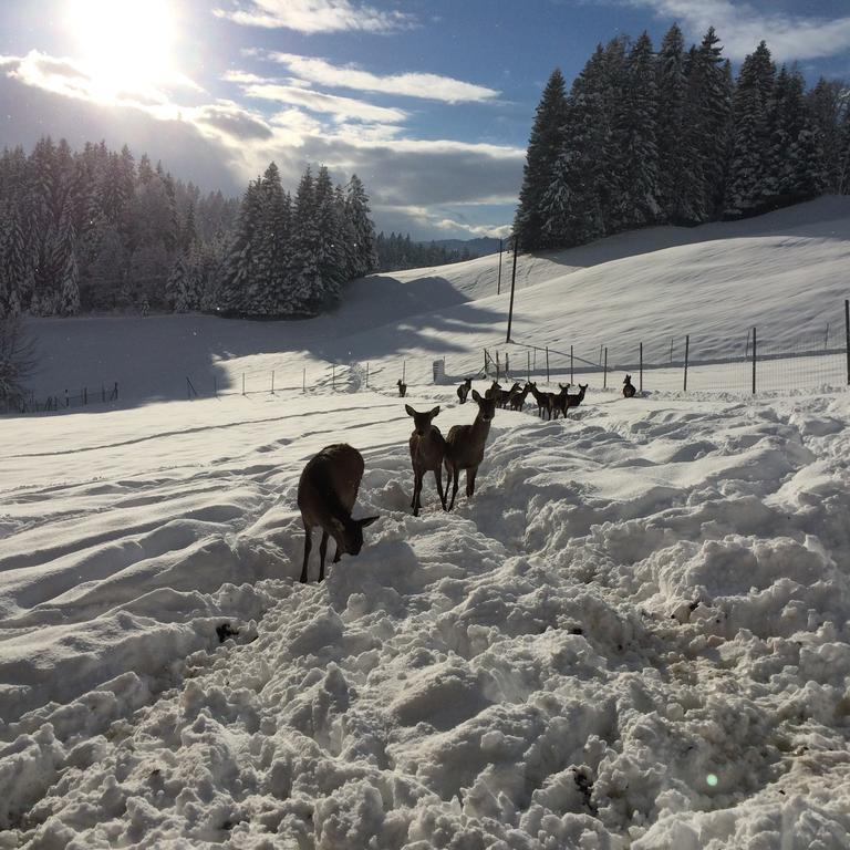 Berghof Haselsberger Hotel Sankt Johann in Tirol Exterior foto
